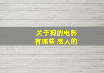 关于狗的电影有哪些 感人的